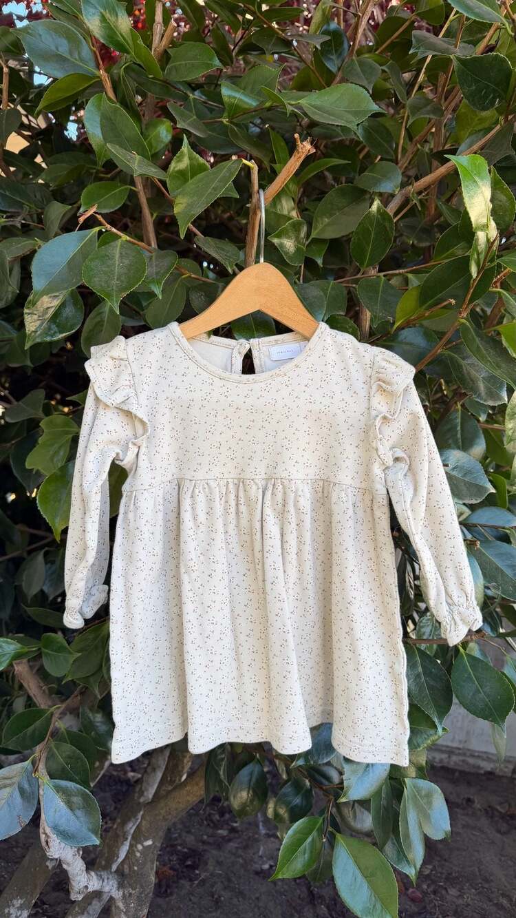 Jamie Kay Ditsy Floral Long Sleeve Floral Dress